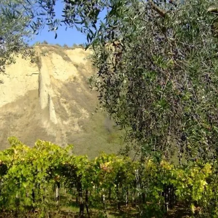 La Pacchianella *